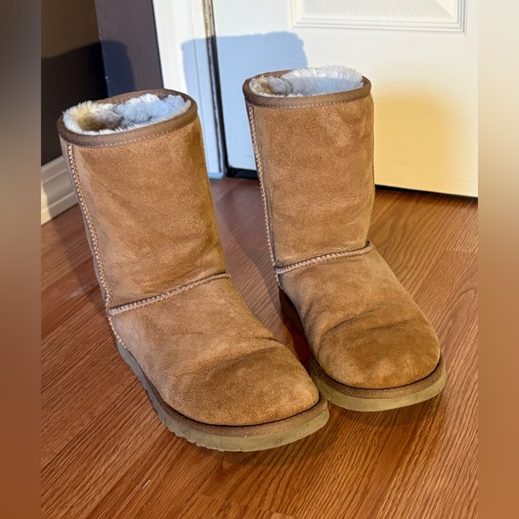 UGG Shoes - UGG Chestnut Label Tag - Size USA 8 / EU 39